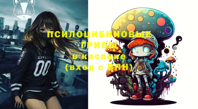 MEGA сайт  Камешково  Галлюциногенные грибы MAGIC MUSHROOMS 