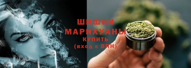 Шишки марихуана THC 21%  Камешково 